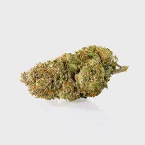 DASH 14% CBG by Marvin Game 5G