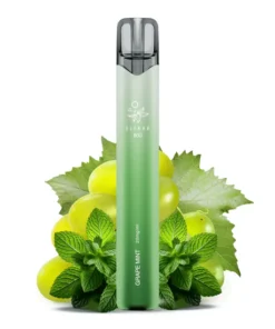 Elfbar 800 Grape Mint