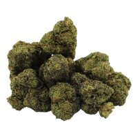 HHC Blüten Captain Kush