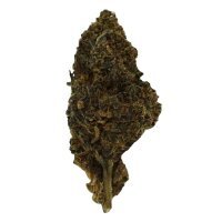 HHC Blüten Ttropical Kush