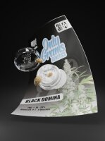 OnlyGrams Genetics Automatic - Black Domina
