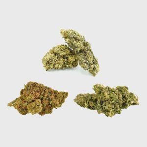 Power Fruit Punch🍋🍉🍓