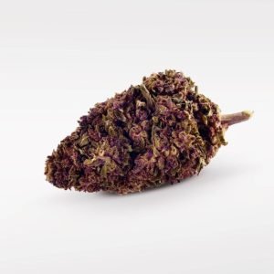 Purple Kinky Kush - Superior Blüte 40%