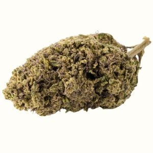 SILVER HAZE x 10-HC 20%