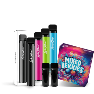 Vape Batterie + 2 Pods Mixed Berries
